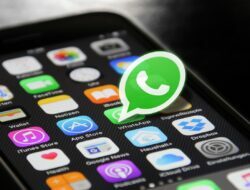 5 Cara Simpan Video Status WhatsApp dengan Mudah