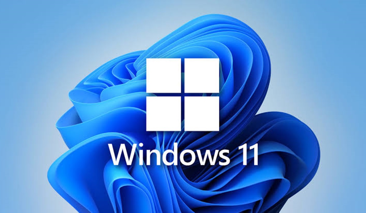 Windows 11iso