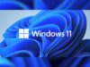 Windows 11iso