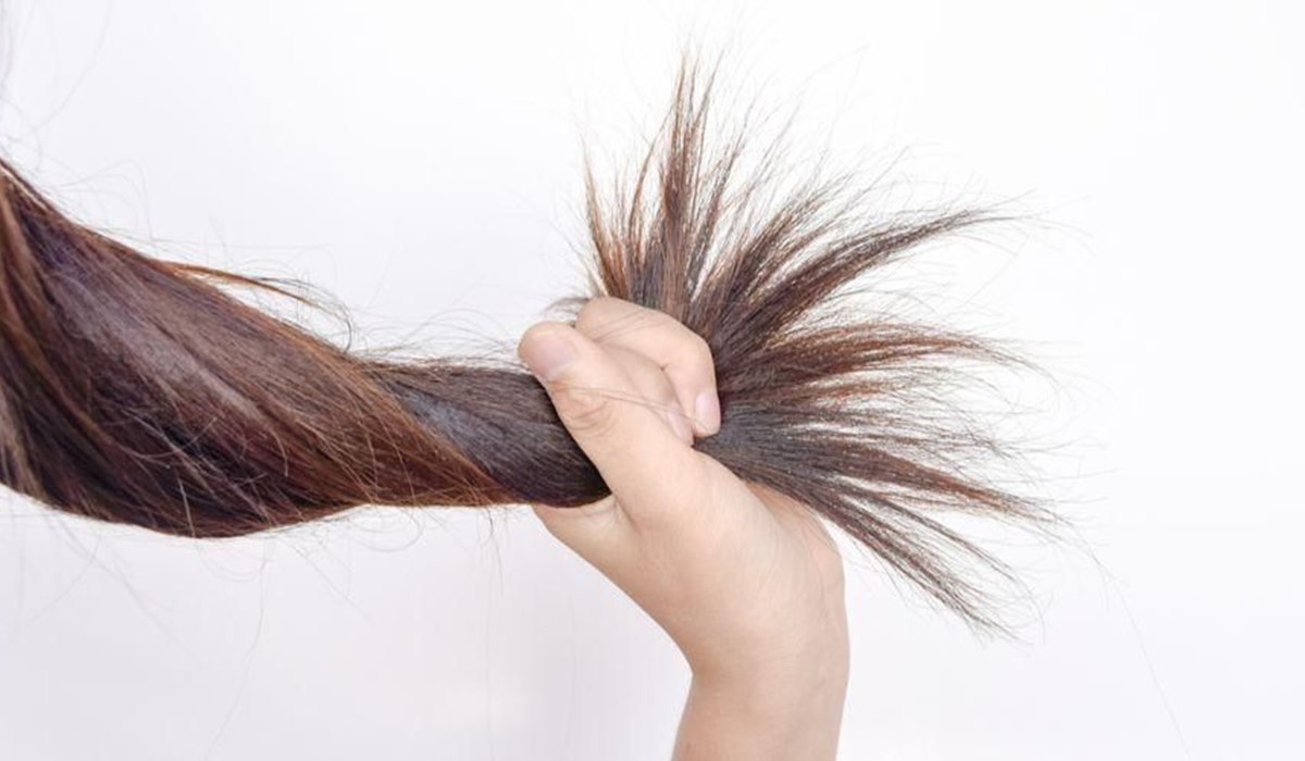 cara merawat rambut mengembang 