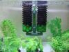 fungsi selang kecil pada filter aquarium