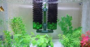 fungsi selang kecil pada filter aquarium