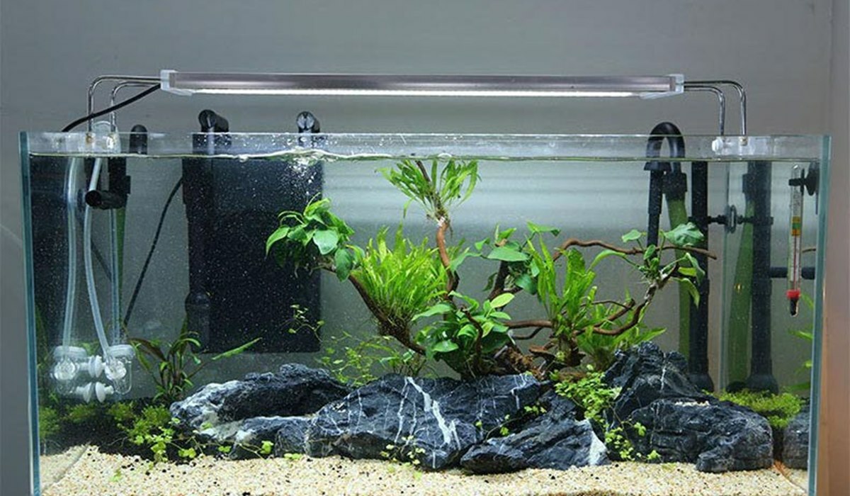 fungsi selang kecil pada pompa aquarium 