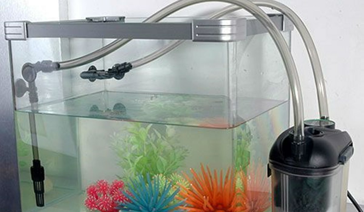 fungsi selang kecil pada filter aquarium 