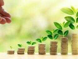 Pahami Dulu! Ini Dia 5 Jenis-Jenis Investasi Reksadana yang Wajib Kalian Ketahui!