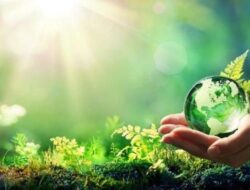 Mari Mengenal Pengertian Ramah Lingkungan dan 5 Gaya Hidup yang Mencerminkan Hal Itu!