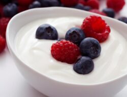 mikroorganisme yogurt