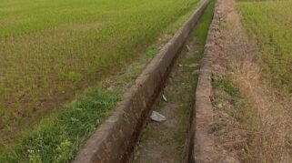 Keluhan petani Lembang Parang terkait sawah mengering mendapat penjelasan dari PPA. Air disebut lambat sampai ke area persawahan akibat keterlambatan pengaliran dan banyaknya sedimen di saluran tersier.