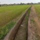 Keluhan petani Lembang Parang terkait sawah mengering mendapat penjelasan dari PPA. Air disebut lambat sampai ke area persawahan akibat keterlambatan pengaliran dan banyaknya sedimen di saluran tersier.