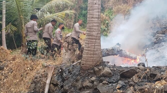 Personel gabungan Polres Polewali Mandar (Polman) dan Polsek Binuang memadamkan kebakaran hutan dan lahan (Karhutla) yang melanda kawasan Pulau Battoa, Dusun Kapejang dan Dusun Lendang, Desa Tonyaman, Kecamatan Binuang, Kabupaten Polewali Mandar, Jumat (21/8/2026). (Foto: Polres Polman)