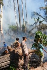 Tim gabungan berhasil memadamkan kebakaran hutan lindung yang terjadi di Dusun Kompasa, Desa Loka, Kecamatan Rumbia, Kabupaten Jeneponto, Kamis, 20 Agustus 2026. (Foto: Polres Jeneponto)