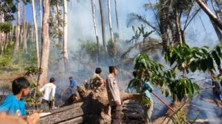 Tim gabungan berhasil memadamkan kebakaran hutan lindung yang terjadi di Dusun Kompasa, Desa Loka, Kecamatan Rumbia, Kabupaten Jeneponto, Kamis, 20 Agustus 2026. (Foto: Polres Jeneponto)