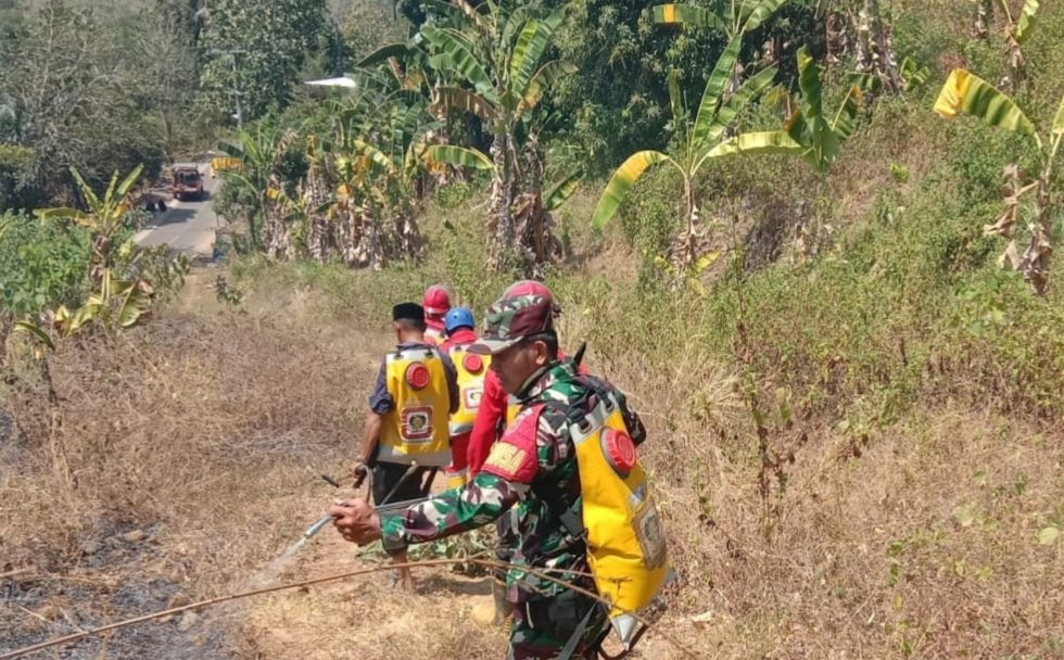 Kebakaran lahan kosong terjadi di sekitar Lapangan Golf, Dusun Borongloe, Desa Pallantikang, Kecamatan Pattallassang, Kabupaten Gowa, Senin (31/8/2026). (Foto: Ist) 
