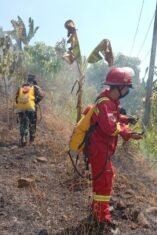 Kebakaran lahan kosong terjadi di sekitar Lapangan Golf, Dusun Borongloe, Desa Pallantikang, Kecamatan Pattallassang, Kabupaten Gowa, Senin (31/8/2026). (Foto: Ist)