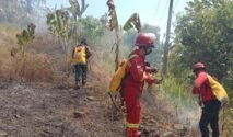 Kebakaran lahan kosong terjadi di sekitar Lapangan Golf, Dusun Borongloe, Desa Pallantikang, Kecamatan Pattallassang, Kabupaten Gowa, Senin (31/8/2026). (Foto: Ist)