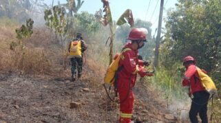 Kebakaran lahan kosong terjadi di sekitar Lapangan Golf, Dusun Borongloe, Desa Pallantikang, Kecamatan Pattallassang, Kabupaten Gowa, Senin (31/8/2026). (Foto: Ist)