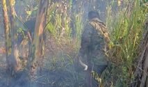 Babinsa Kodim 1409/Gowa bersama Bhabinkamtibmas dan warga bergerak cepat memadamkan kebakaran lahan di area PT Subaco, Lingkungan Biringkaloro, Kelurahan Tetebatu, Kecamatan Pallangga, Kabupaten Gowa, Rabu (2/9/2026).