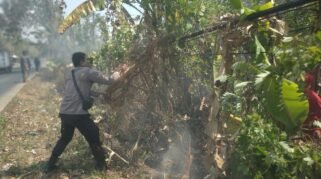 Laporan Warga Masuk, Polisi Padamkan Api di Pattallassang